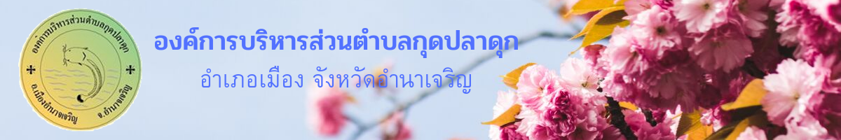 องค์การบริหารส่วนตำบลกุดปลาดุก